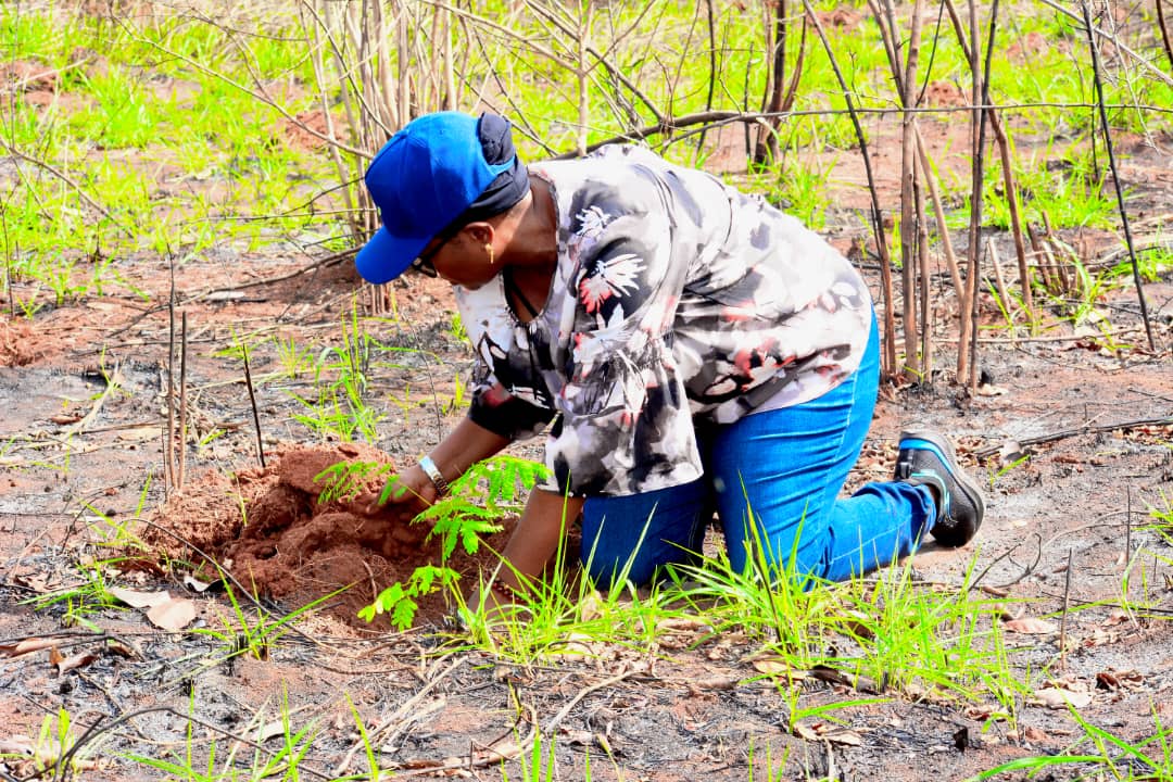 Community member planting a tree sapling in Tanzania