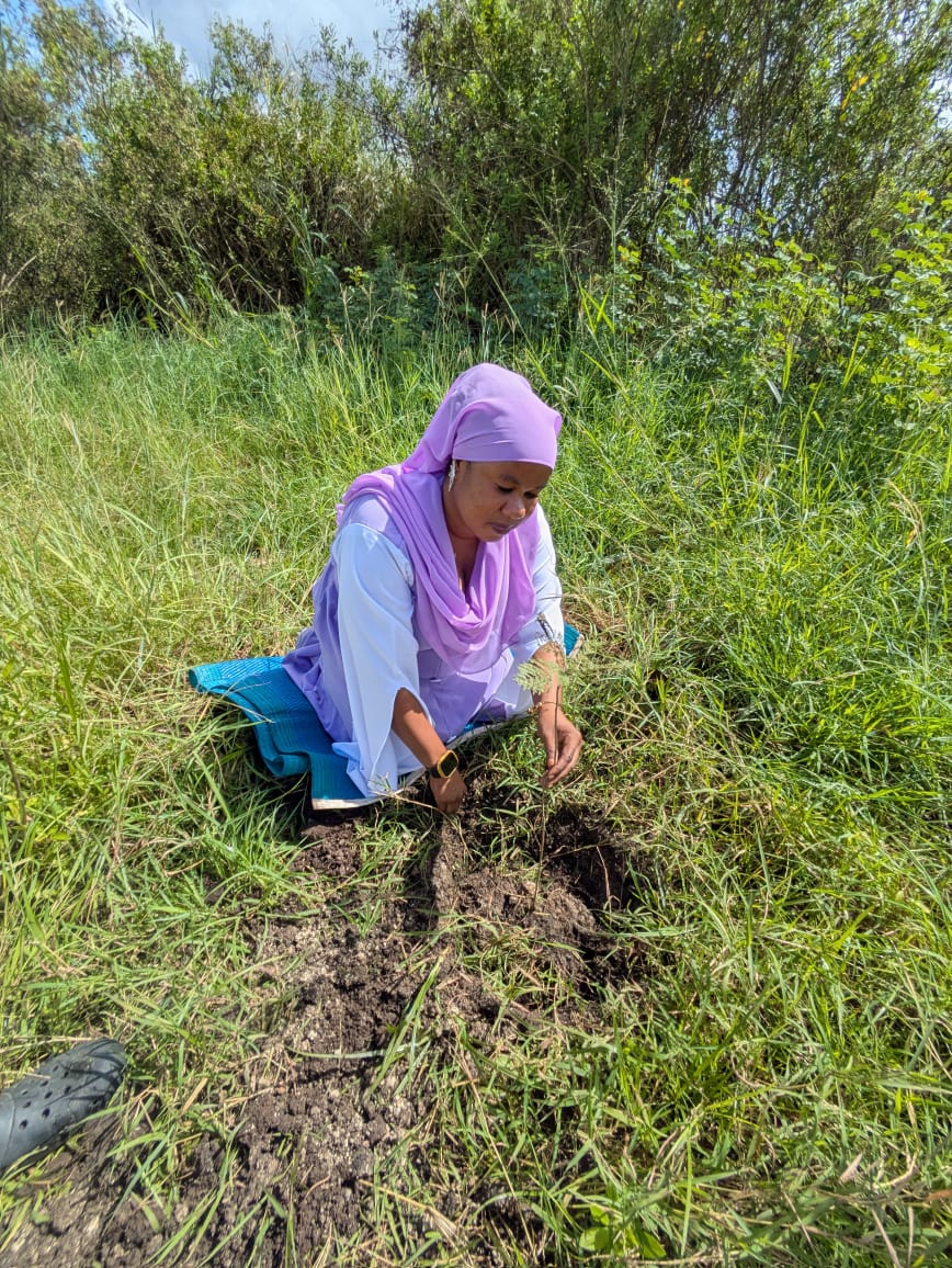 Woman planting a seedling in lush grassland