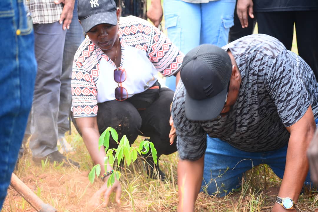 Two community members planting a tree together